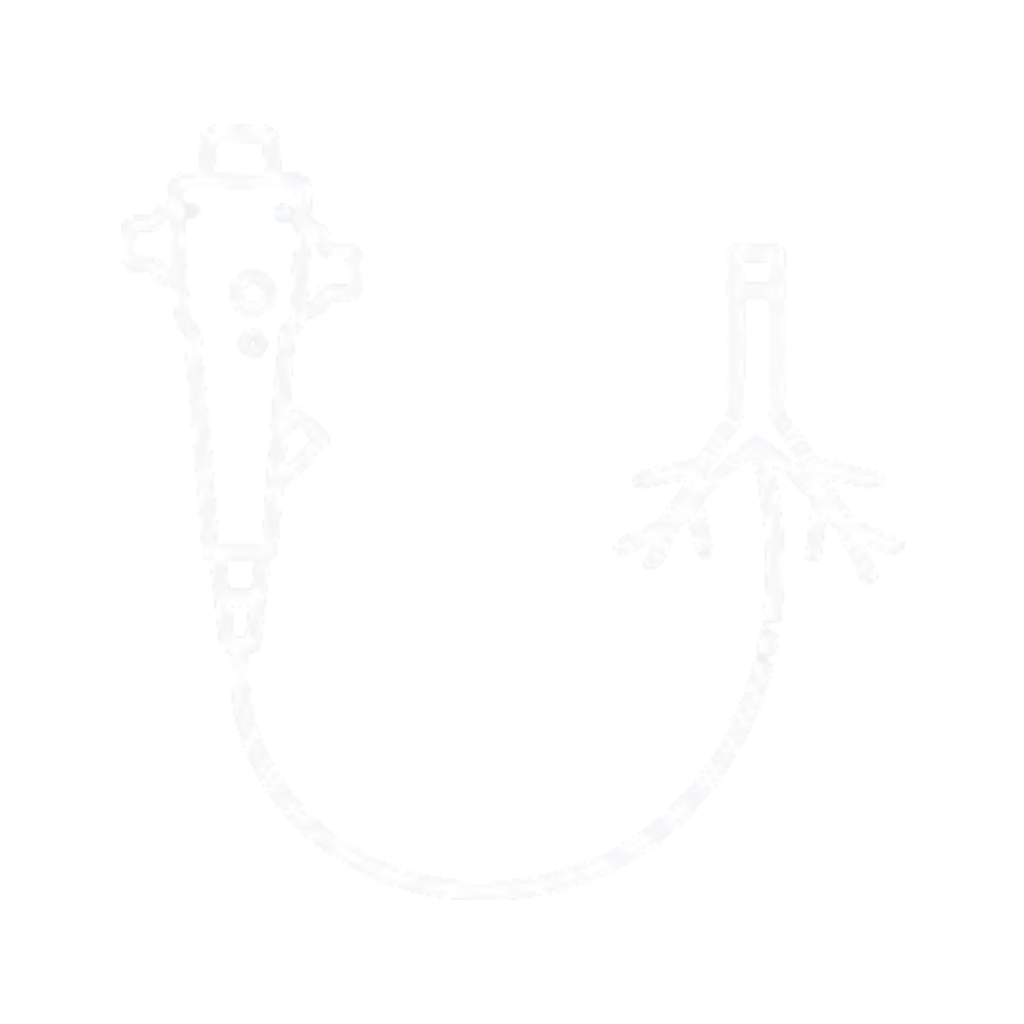 Endoscopes